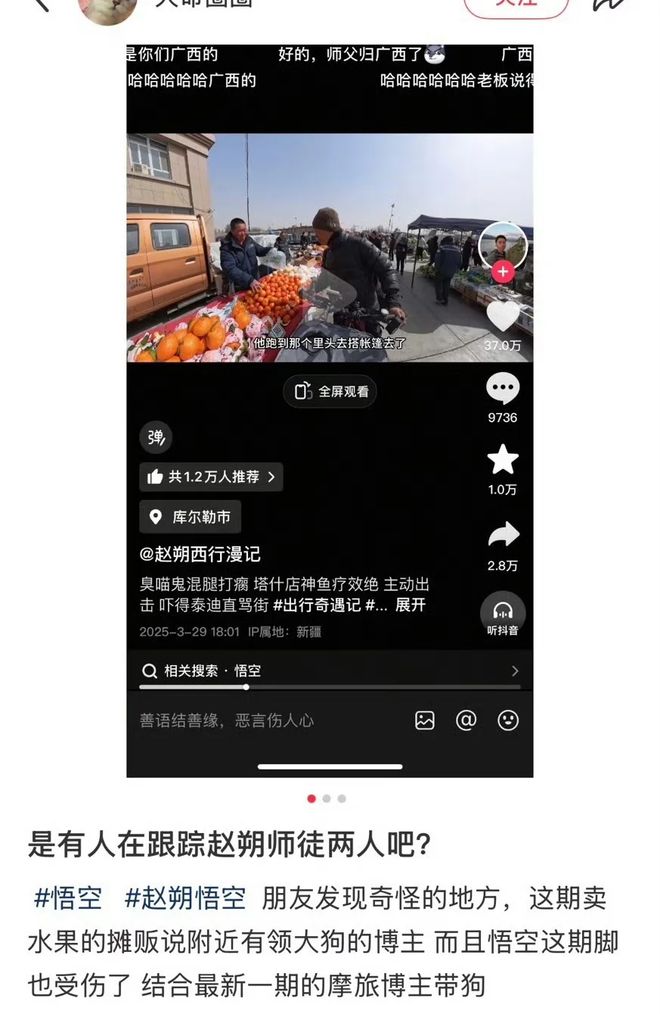 世：主人赵朔公开去世细节可能死于投毒！麻将胡了2游戏入口网红小猫“悟空”去(图6)