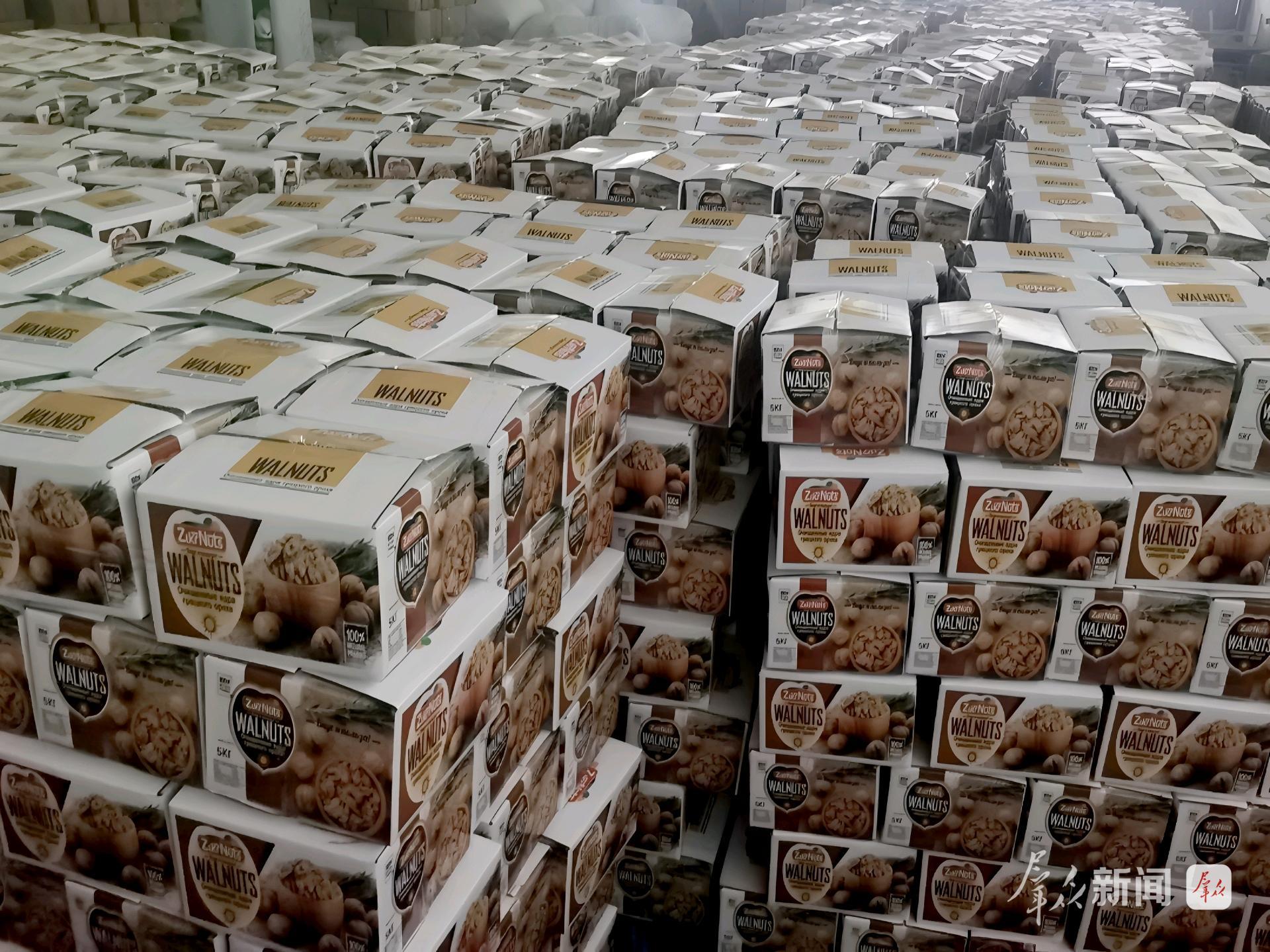 洛：小核桃闯荡大世界PG麻将胡了2试玩商