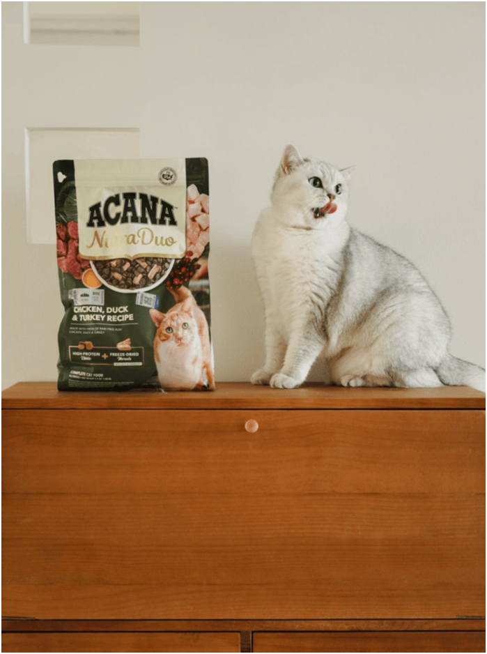 球首发“双拼倍护猫粮”巨头的中国战略再提速PG电子麻将胡了宠物食品新闻：爱肯拿在华全(图6)