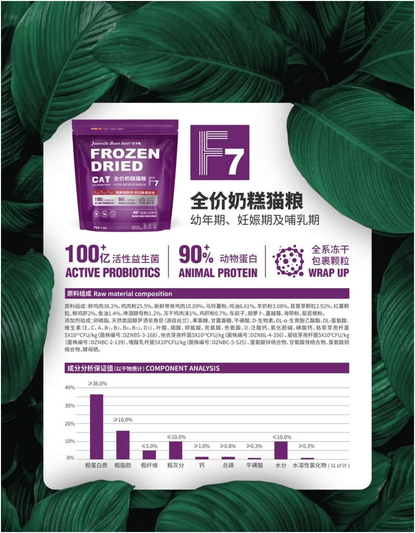 食品品牌上新不断上心永远麻将胡了2试玩豆子熊宠物(图6)